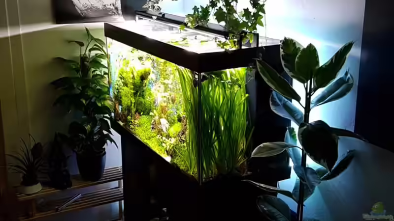 Becken am 30.03.2016 von Sebastian Hartmann (55)