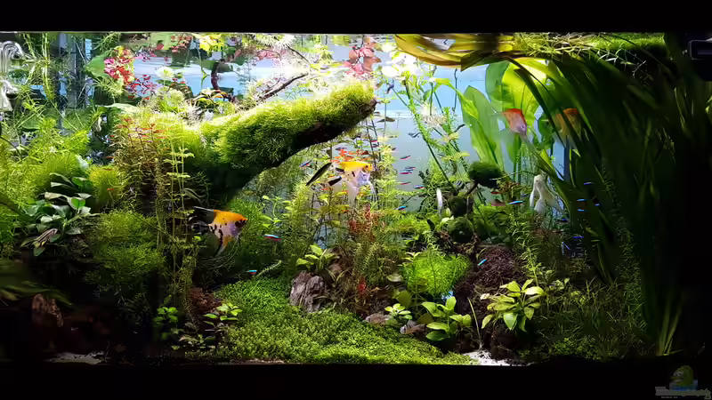 Becken am 30.03.2016 von Sebastian Hartmann (88)