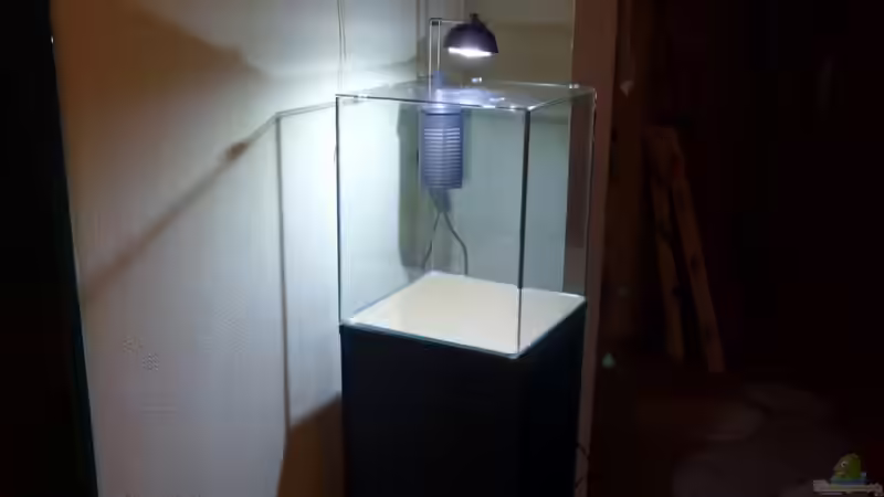 Becken am 7.12.2010 von Josef Braun (2)