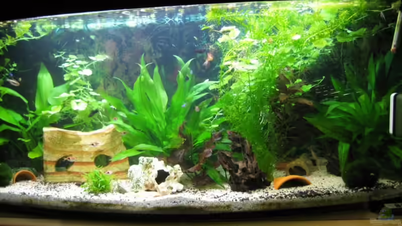 Becken am Abend Becken am Abend