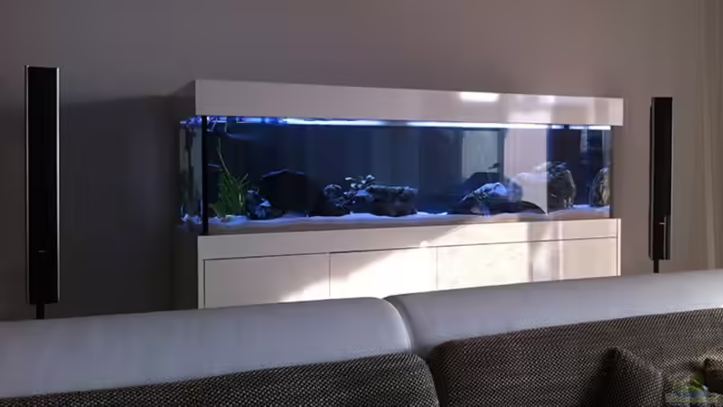 Becken am Tag von axxo (7)