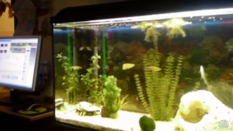 becken am19.3.08 von Ingo Weiß (4)