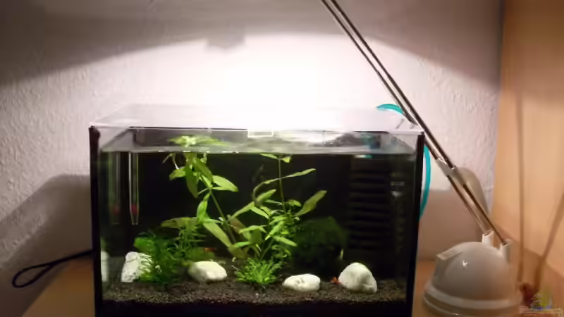 Becken auf Wohnzimmerschrank von sp4x