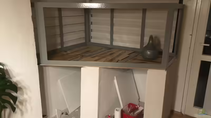 Becken aufgestellt und Hohlraum zwischen ausgelegt von Hedylein (10)