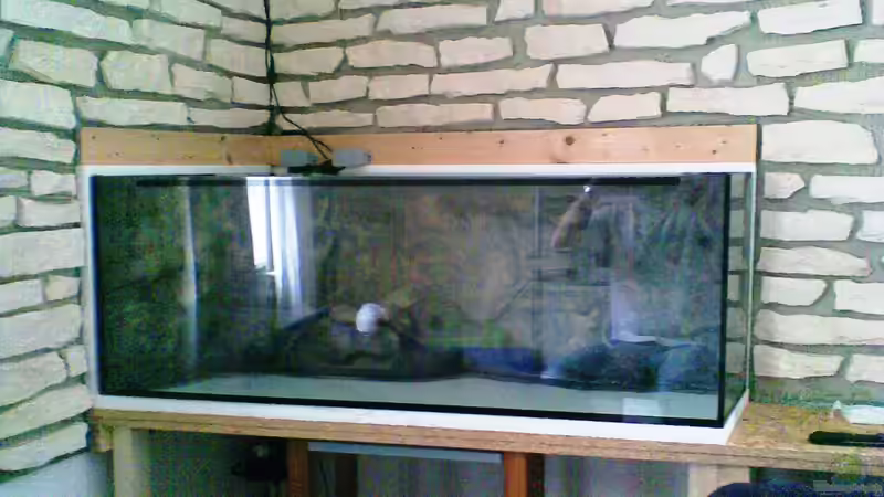 Becken aufgestellt von Alfur (3)