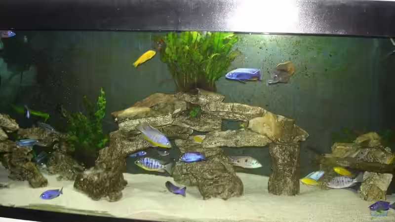 Becken August 2009 von exodus73 (1)