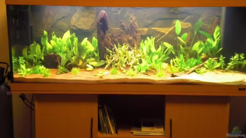 Becken bei Licht von Misterdaddy (3)