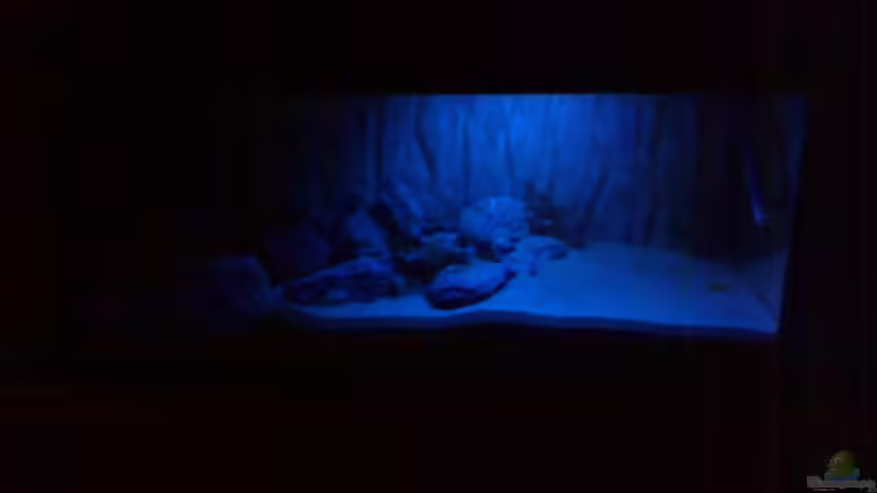 Becken bei Mondlicht von Julie (2)