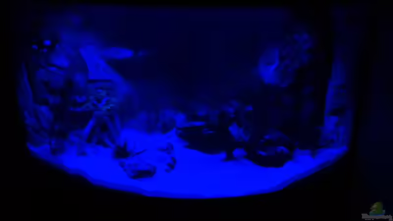 Becken bei Mondlicht von Maik H. (2)