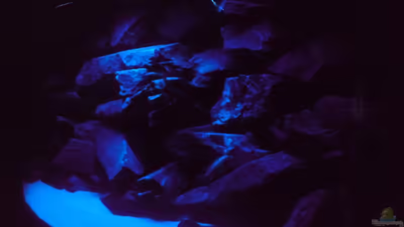 Becken bei Mondlicht von Master S2308 (3)