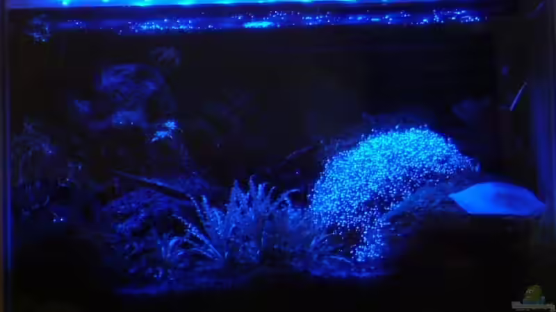 becken bei mondlicht von Timo Wünsche (33)