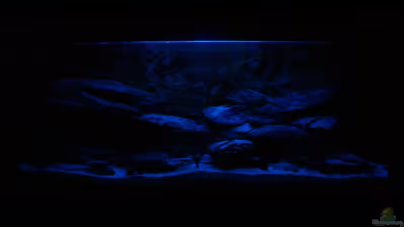 Becken bei Nacht von Marcus Panhuis (4)