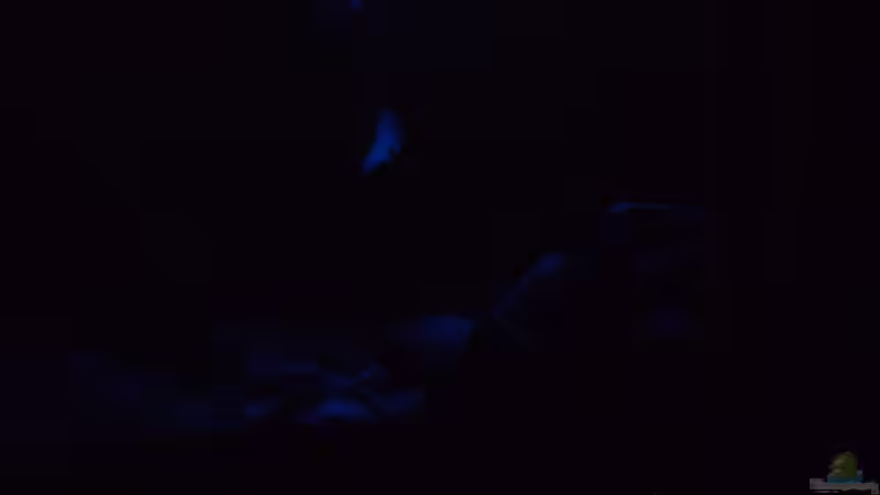 Becken bei Nacht von pfauenauge36 (2)