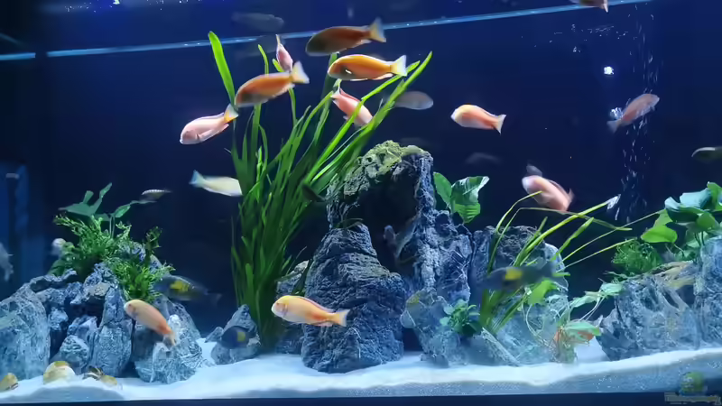 Becken bei Sonnenuntergang von Ezi13 (11)