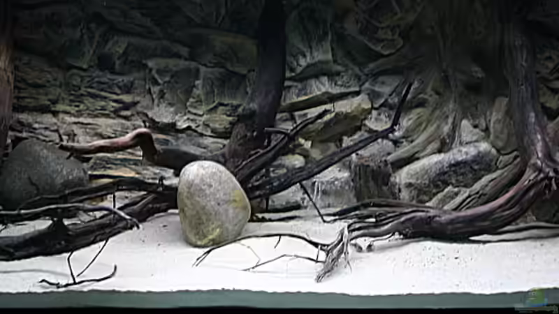 Becken bei Start im April 2014 von timo-on-keys (11)