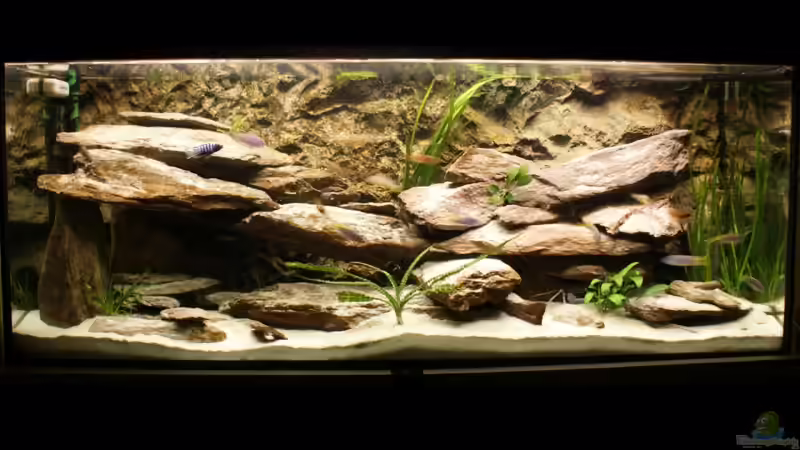 Becken bei Tag von Marcus Panhuis (1)