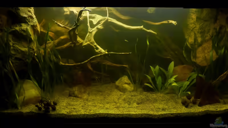 Becken bei voller Beleuchtung 14.02.13 von ~Marco~ (12)