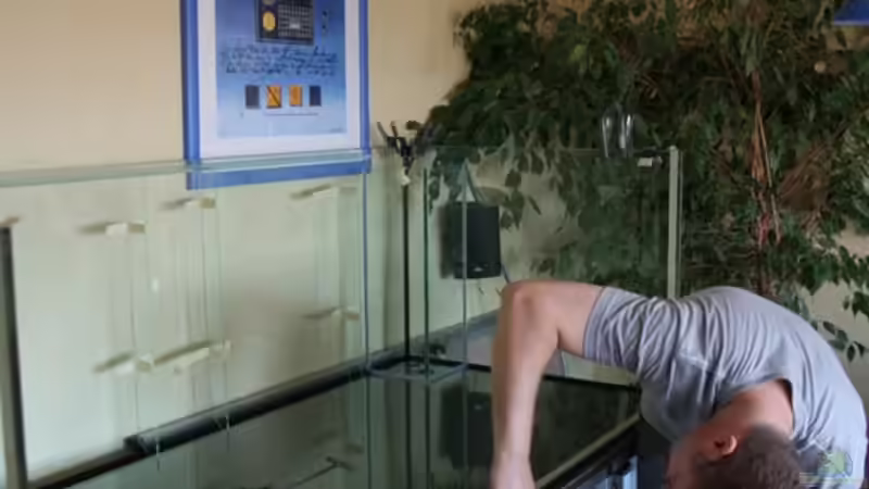 Becken beim Aufbau von Holger74 (2)