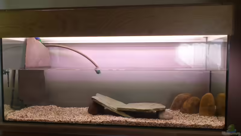 Becken beim Füllen von Christian Kleinhenz (7)