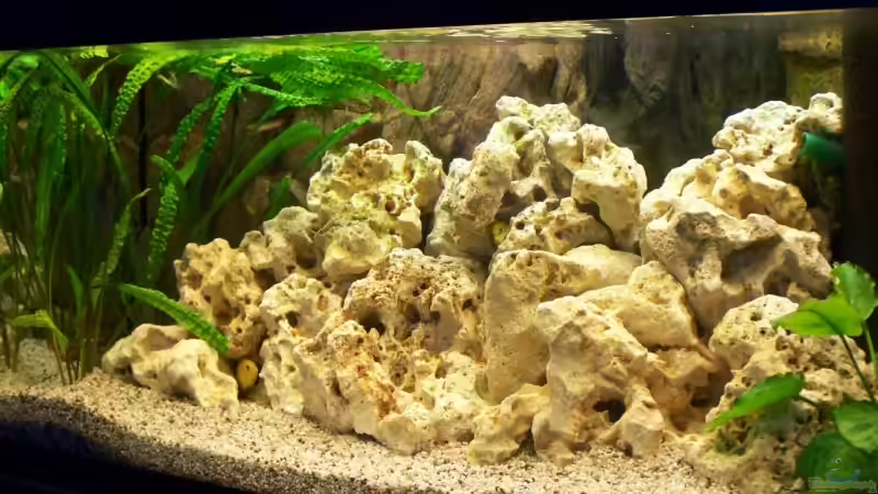 Becken beim Neuaufbau von Andy Hurm (1)