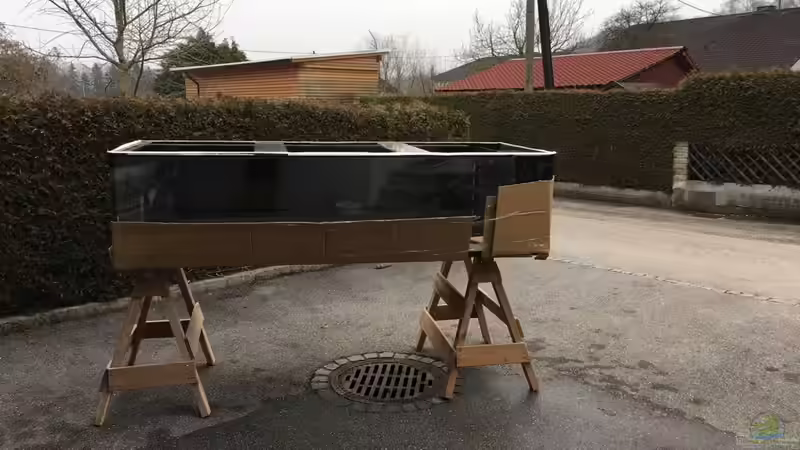 Becken da von Thomas S-H (6)