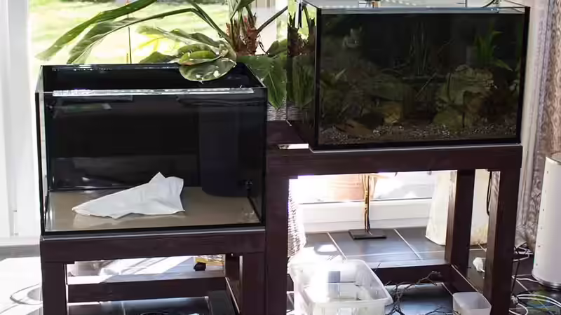 Becken ein steht .. weiter auf der anderen Seite .. von AjakAndi (9)