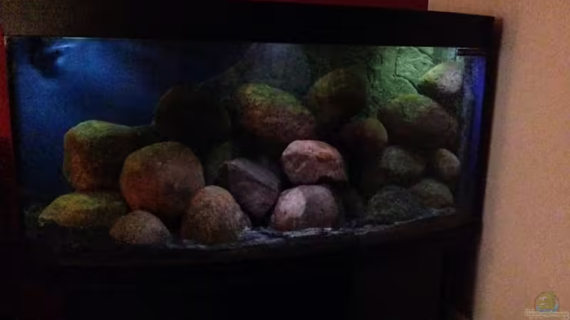 becken fertig eingerichtet und in der einlaufphase am 16.12.13 von Torge Arp (1)