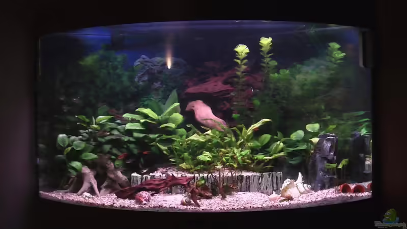 Becken fertig Eingerichtet von Trooper (4)