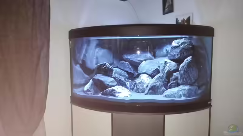 Becken frisch eingerichtet mit Wasser von Manuel Schwandner (3)