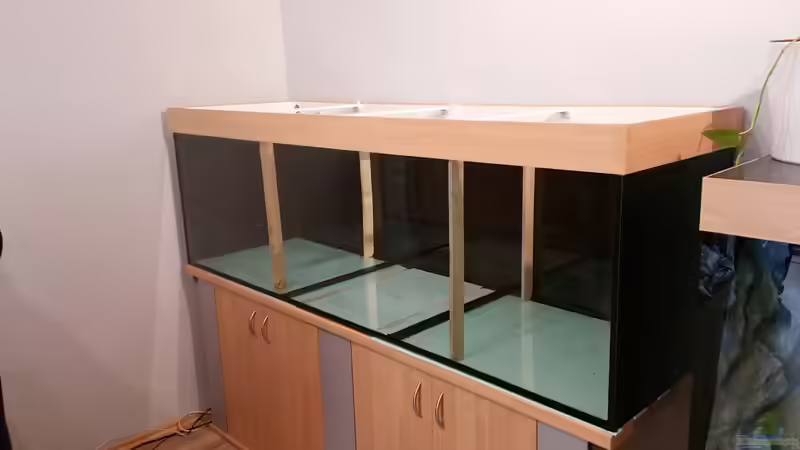 Becken frisch geklebt von StevenS (4)