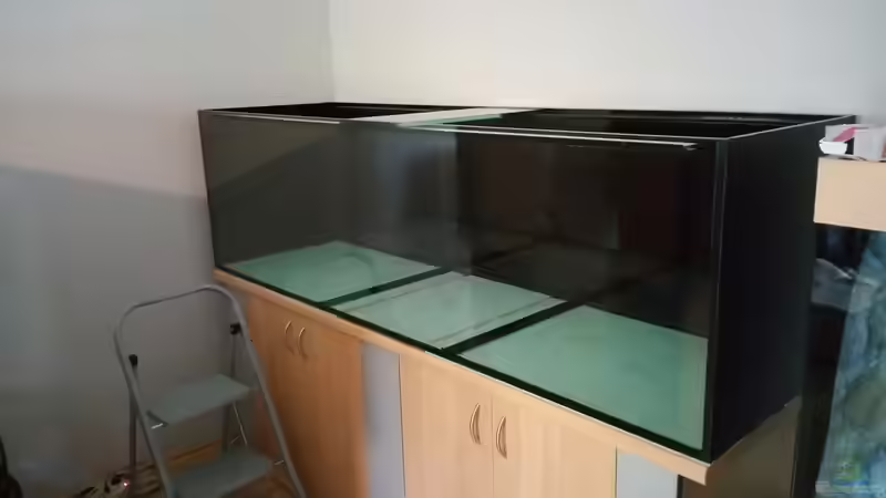 Becken frisch geklebt von StevenS (6)