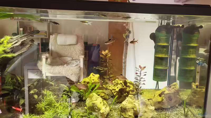 Becken Front 2022 von Juno (2)