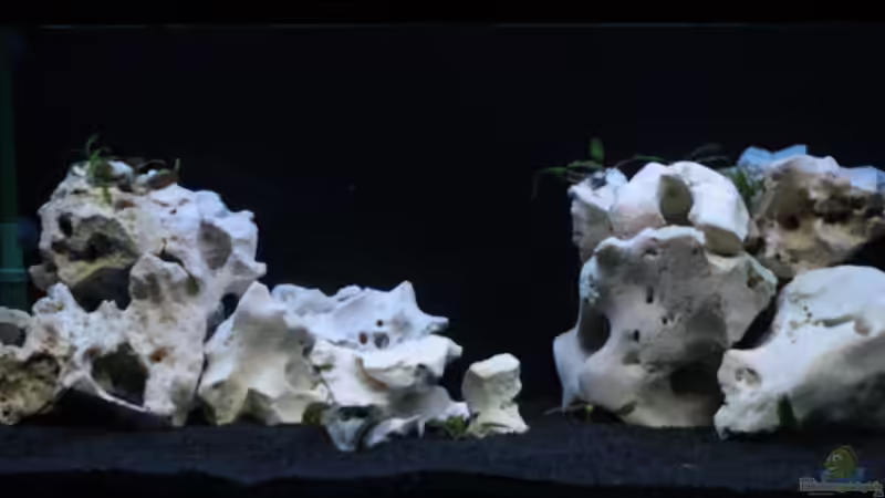 Becken Front von moiko (1)