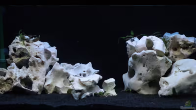 Becken Front von moiko (2)