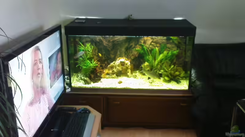 Becken Front von Stgt.WEST (4)