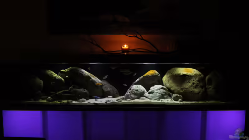 Becken frontal, dazu ist der Unterbau mittels RGBs in verschiedenen Farben beleuchtbar. von Florian Bandhauer (3)