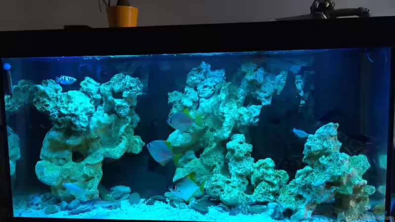 Becken Frontalansicht von _JWoww_ (2)