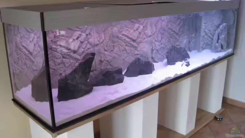 Becken gefüllt von baule2002 (3)