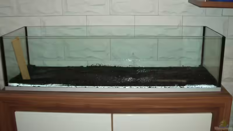 Becken gereinigt von navigator1 (17)