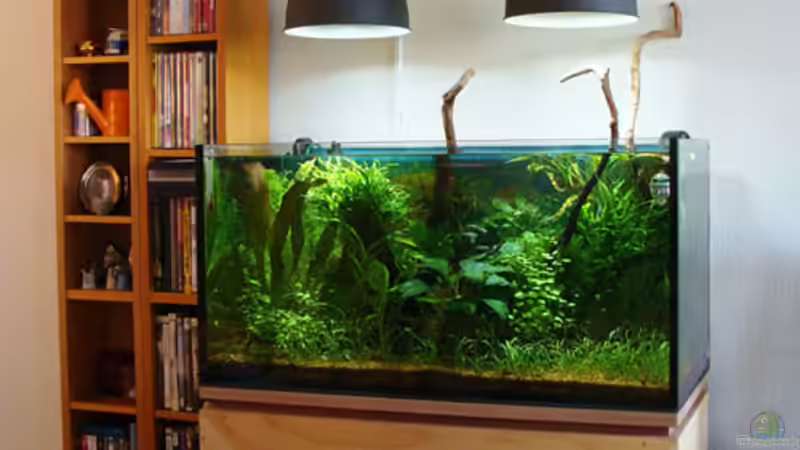 Becken Gesammtansicht von Lukas &gt;&lt;°&gt; (2)