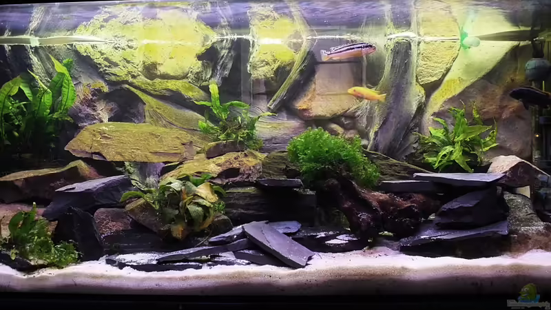 Becken Gesamt ansicht  von Stony (2)