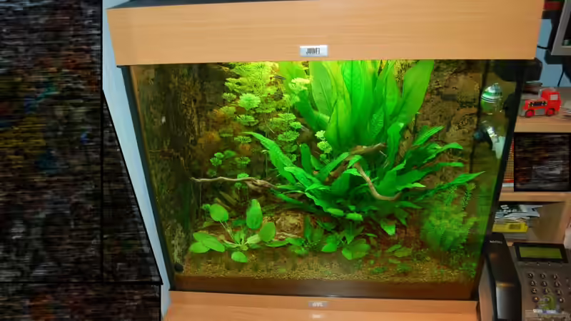 Becken Gesamtansicht 09.02.12 von Sven Seibert (2)