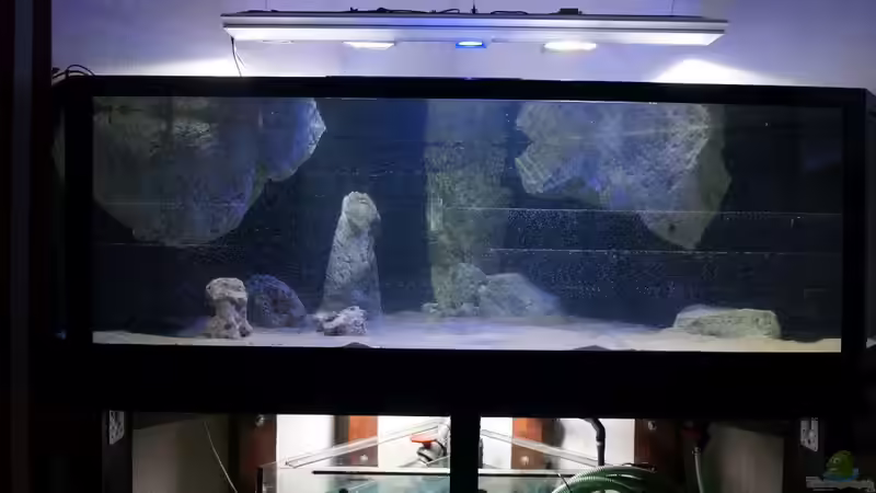 Becken gesamtansicht beim befüllen von tattooindi (15)