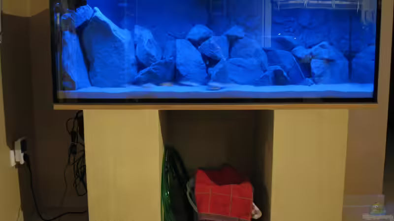 Becken Gesamtansicht von Oliver H. (13)