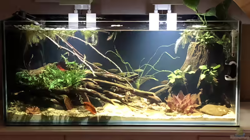 Becken Gesamtansicht von schroepse (8)