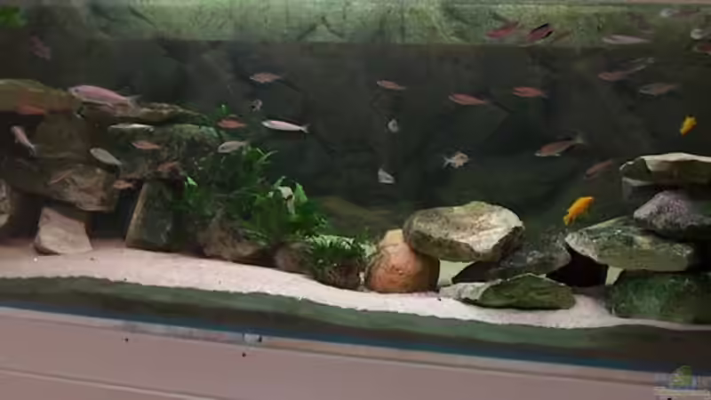 Becken Gesamtansicht