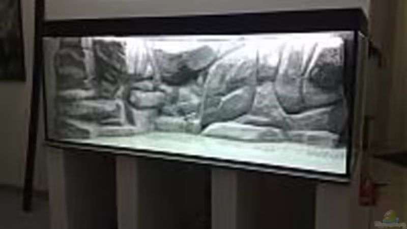 Becken gestellt von Zigermandli (19)