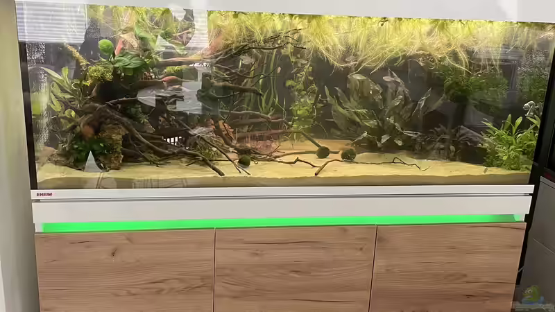 Becken Hauptansicht  von Franne (12)