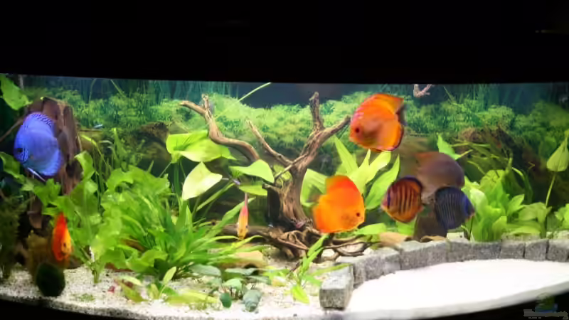 Becken Heute  von Steffen Rübsam (5)