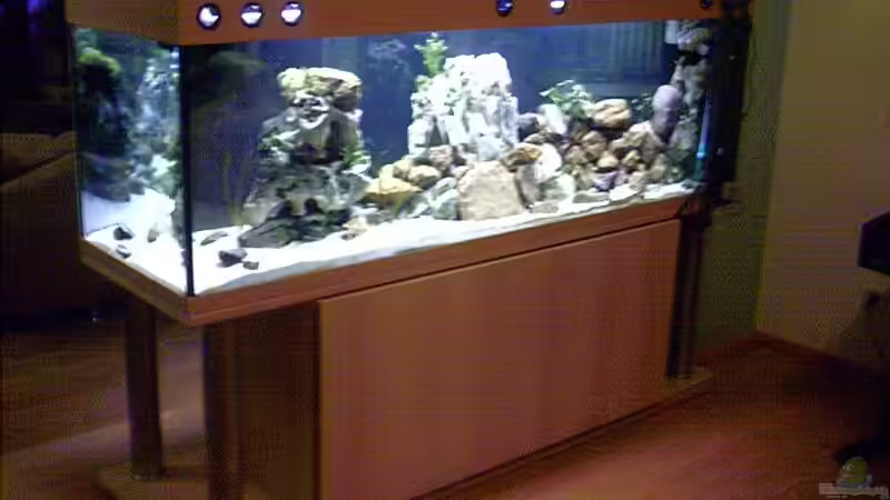 Becken hinten von Markus Parthe (3)